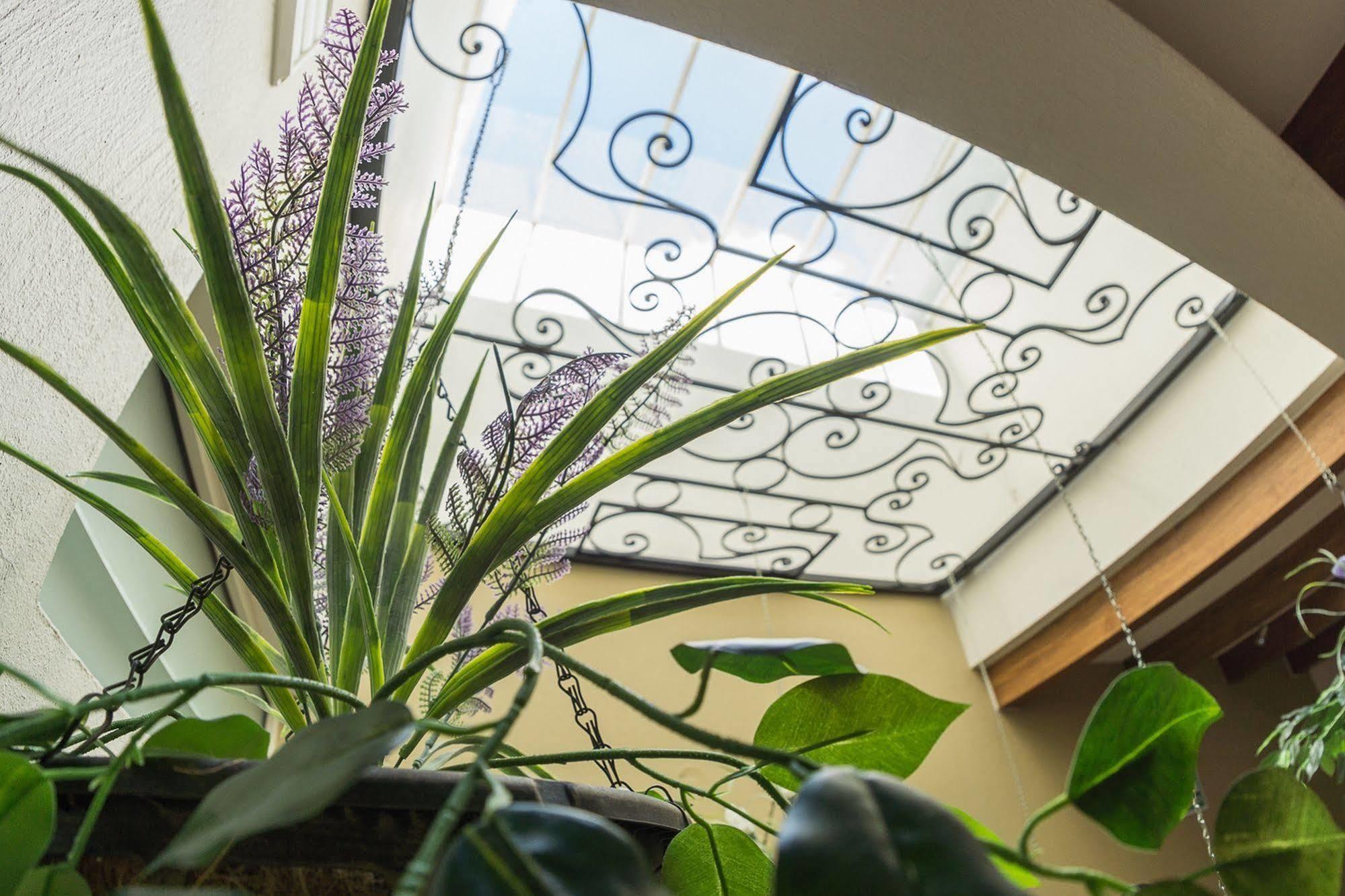 San Pietro Boutique Hotel 틀라케파케 외부 사진